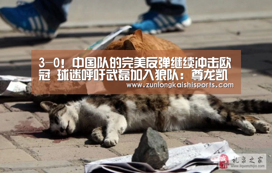 3-0!中国队的完美反弹继续冲击欧冠 球迷呼吁武磊加入狼队:尊龙凯时(图2) 尊龙凯时人生就是搏