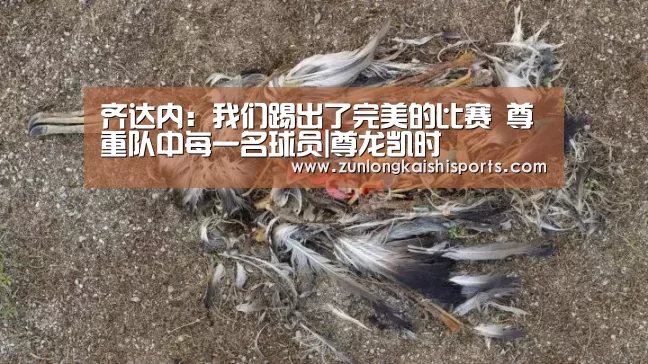 齐达内:我们踢出了完美的比赛 尊重队中每一名球员|尊龙凯时(图1) 尊龙凯时人生就是搏