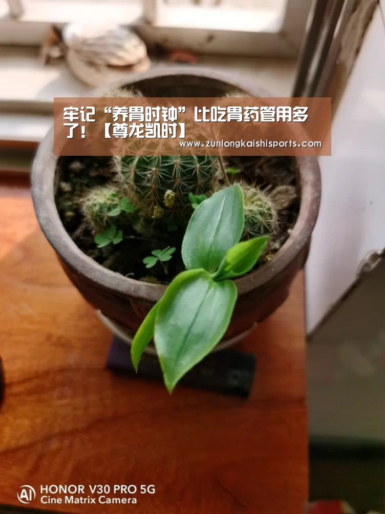 牢记“养胃时钟”比吃胃药管用多了!【尊龙凯时】(图1) 尊龙凯时直播