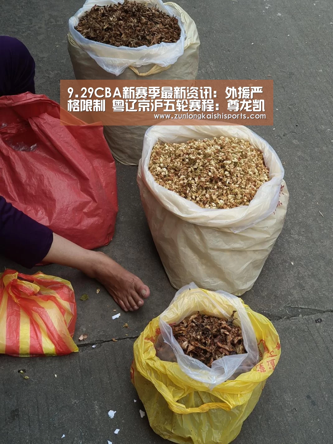 9.29CBA新赛季最新资讯:外援严格限制 粤辽京沪五轮赛程:尊龙凯时(图2) 尊龙凯时直播