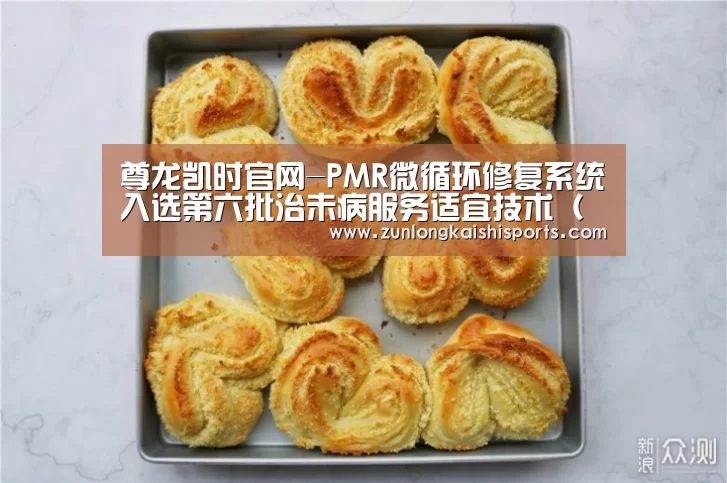 尊龙凯时官网