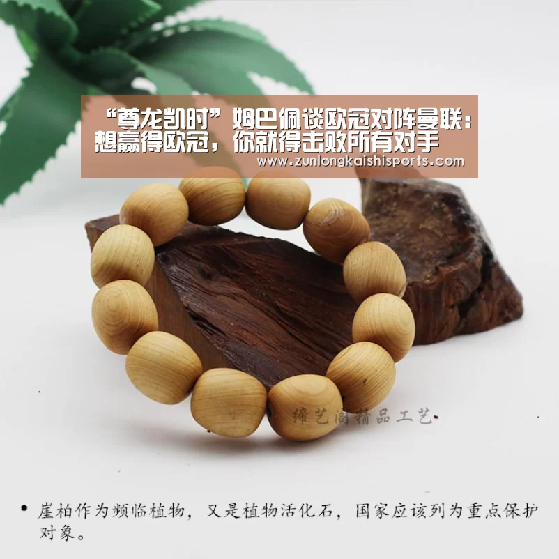 尊龙凯时直播